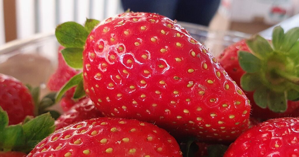 Don't worry.. Strawberry bugs are beneficial and do not harm health