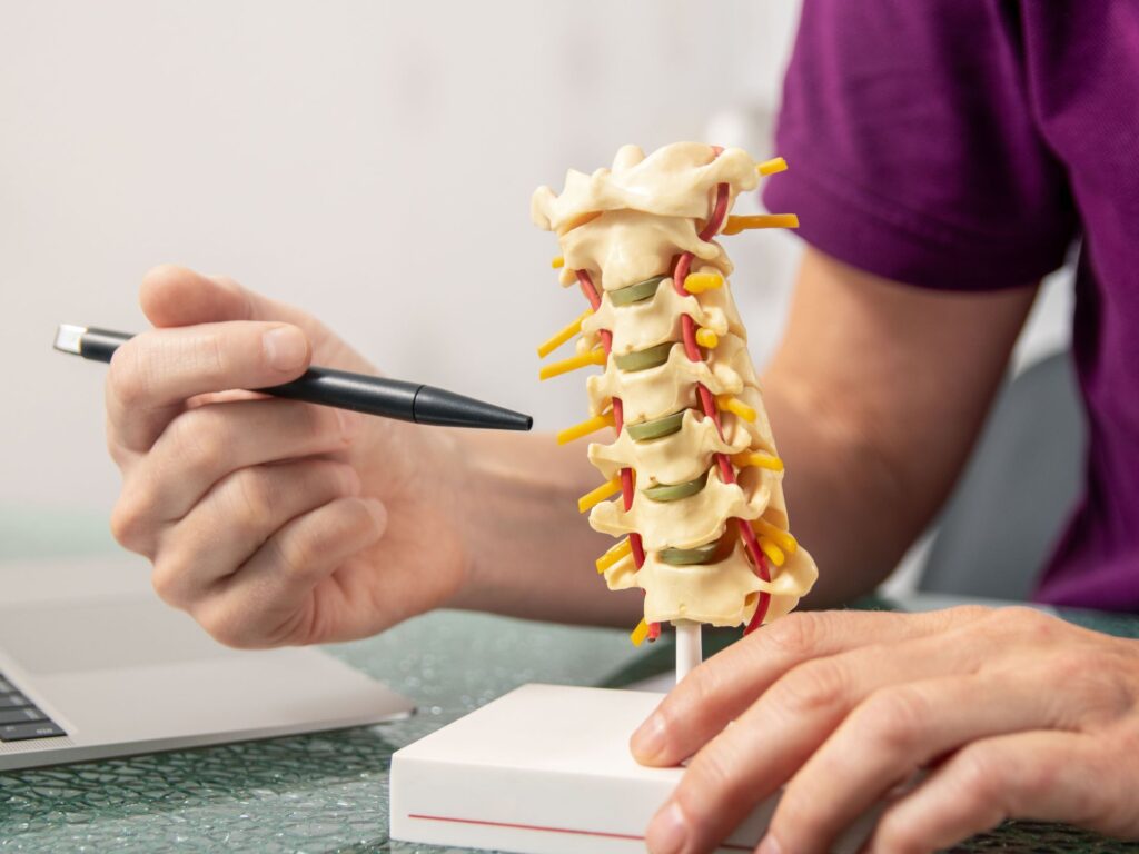 Gel Inspired by Cow Mucus May Help Herniated Disc Patients After Surgery