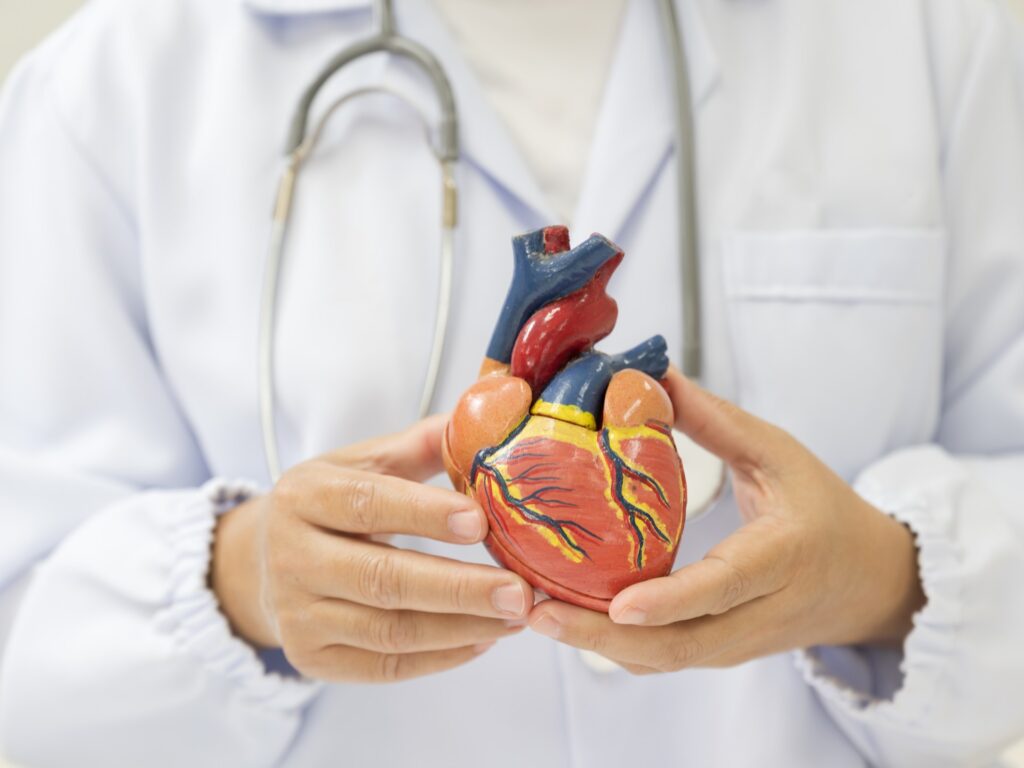 Study: Blood tests allow assessment of heart disease risk in women in their 30s