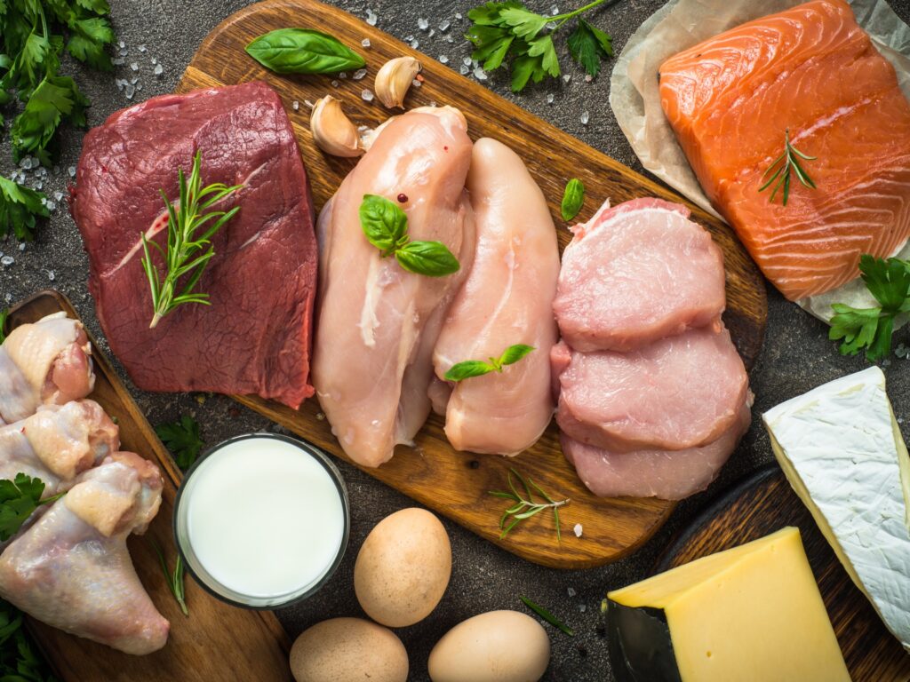 Top 10 Sources of Protein for Muscle Building