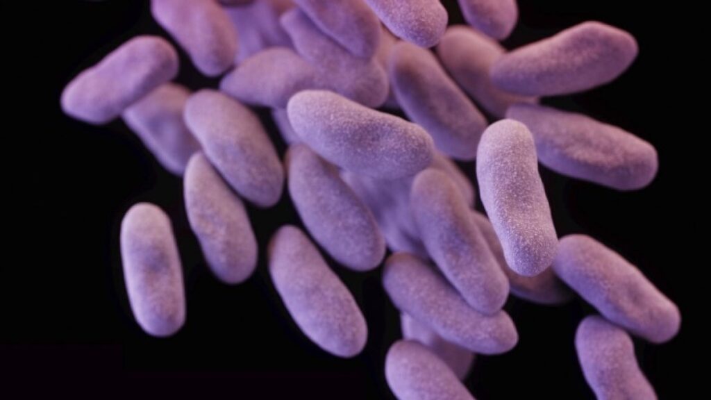 WHO concerned about antibiotic production