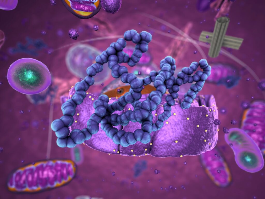 Nobel Prize in Chemistry 2024.. Two winners hope that their research will enable the development of medicines faster