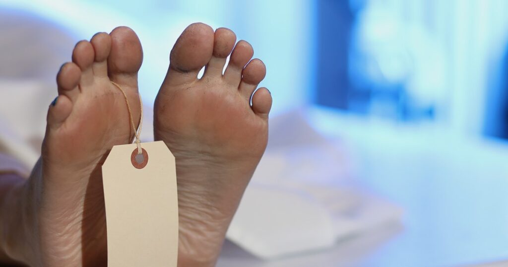 Revealing the circumstances of murders... A Belgian forensic doctor documents his experience with corpses in a collection of short stories