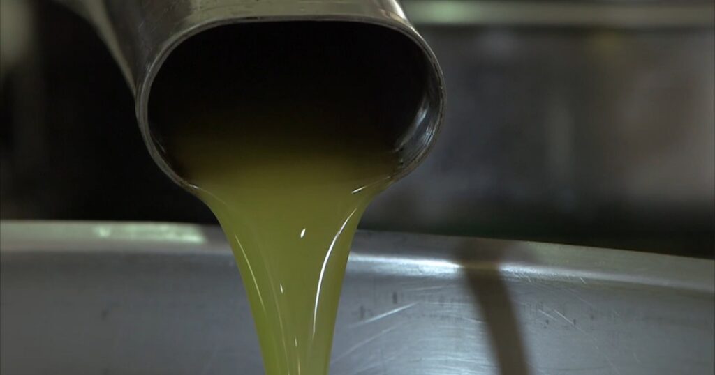 Which is better avocado oil or olive oil?