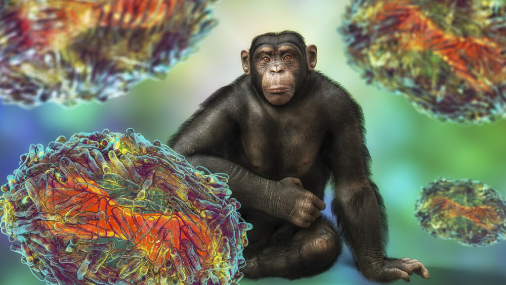 World Health: The number of monkeypox infections continues to rise