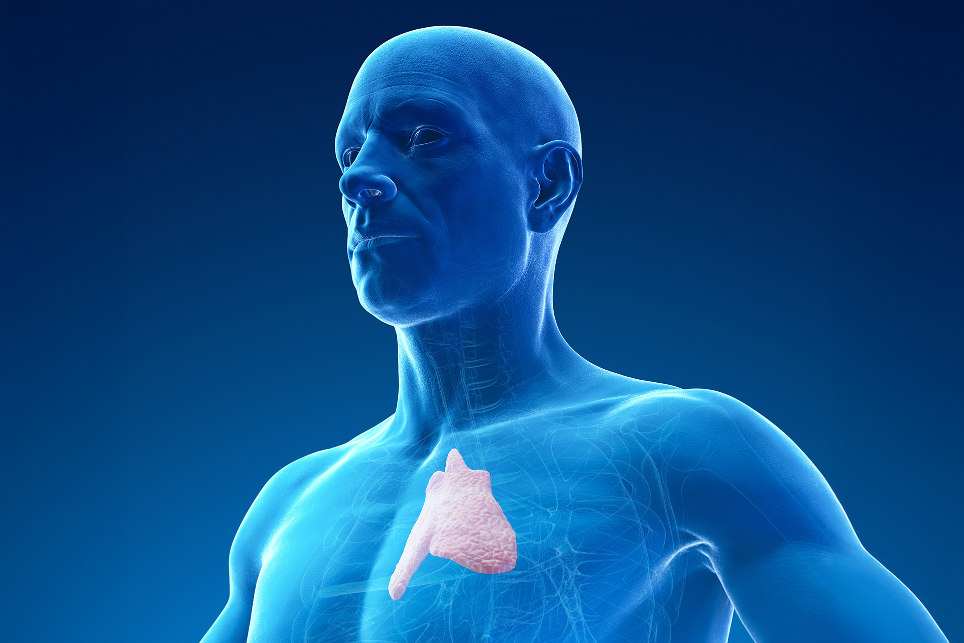 He thought it was useless. An organ that doctors often remove could fight cancer