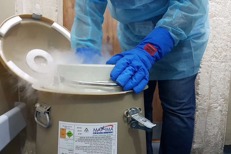 12- Aseel Jundi, Al-Mutalaa Hospital, Mount of Olives, the stage of extracting stem cells after storing them and freezing them with nitrogen in preparation for re-implantation (Al-Jazeera Net).jpg.jpg.jpg