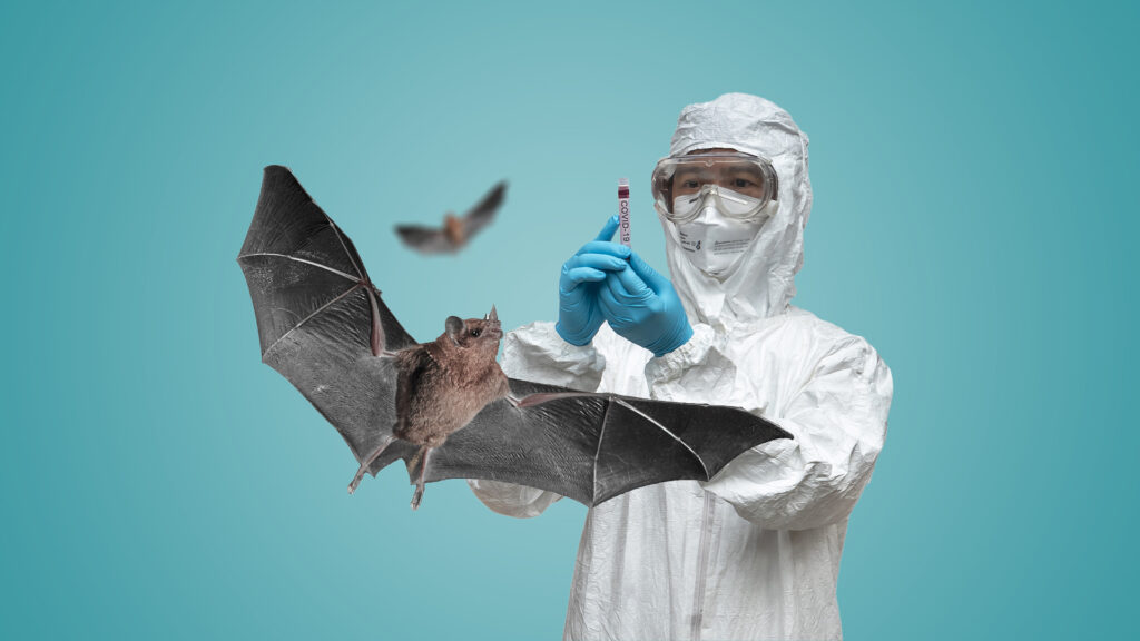 Why did American intelligence agencies disagree about the source of Corona?