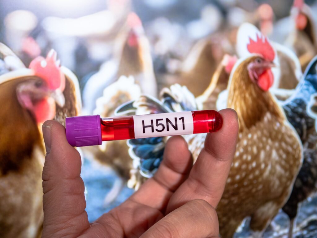 America records the first death from H5N1 bird flu... and experts: alarming but not surprising