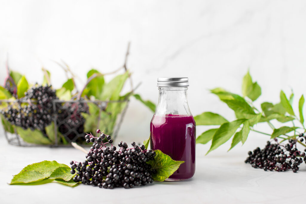 Elderberry juice reduces blood sugar and fats and reduces weight