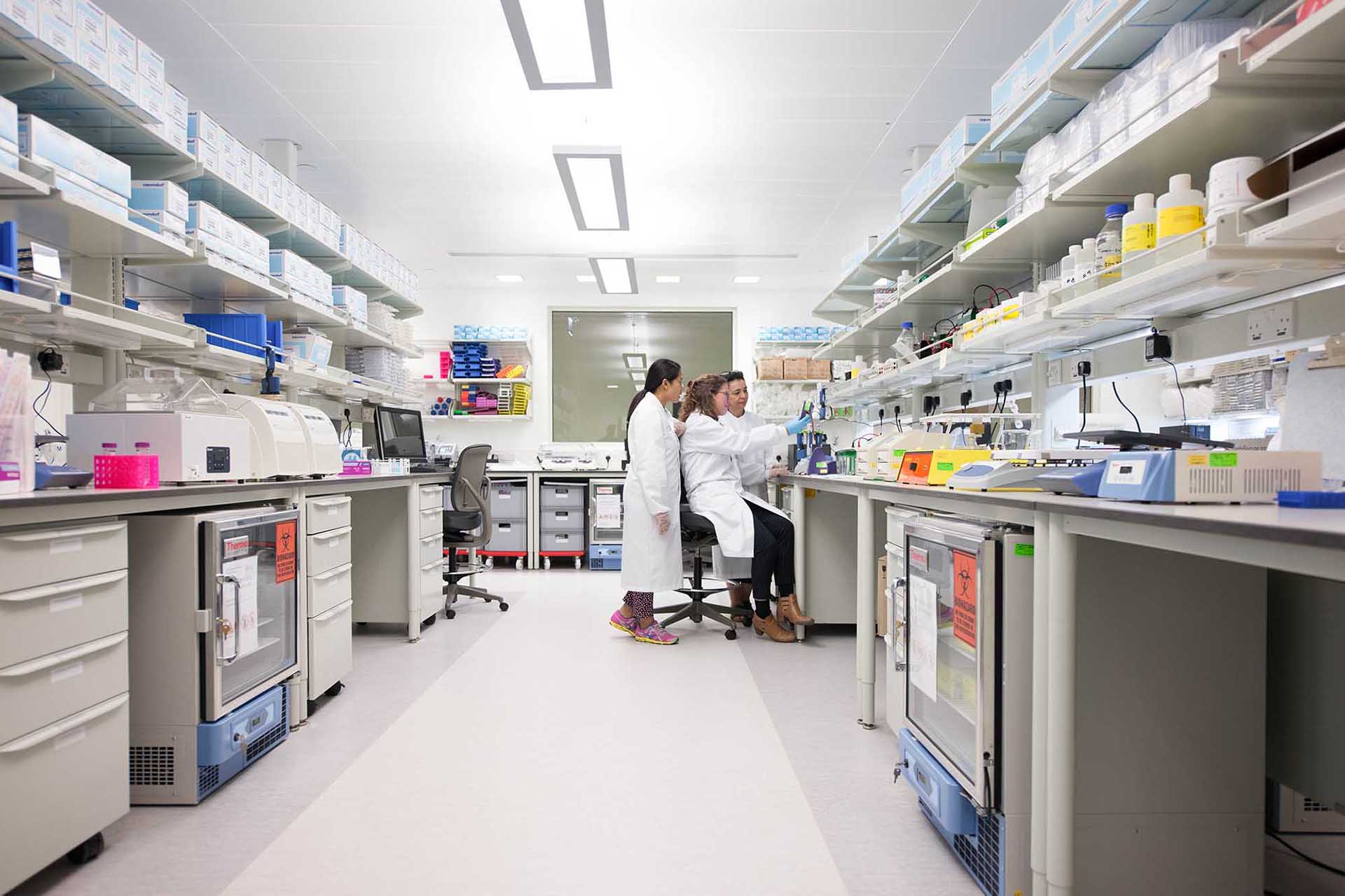 Why does the project to create the first twinning record in Qatar represents a basic step in the field of genetic research?