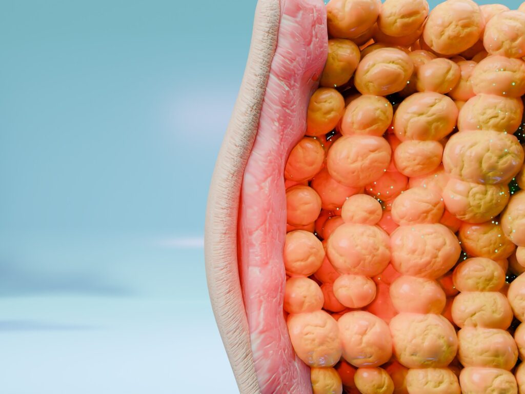 Scientists come up with a discovery that helps decipher the lipid tissue