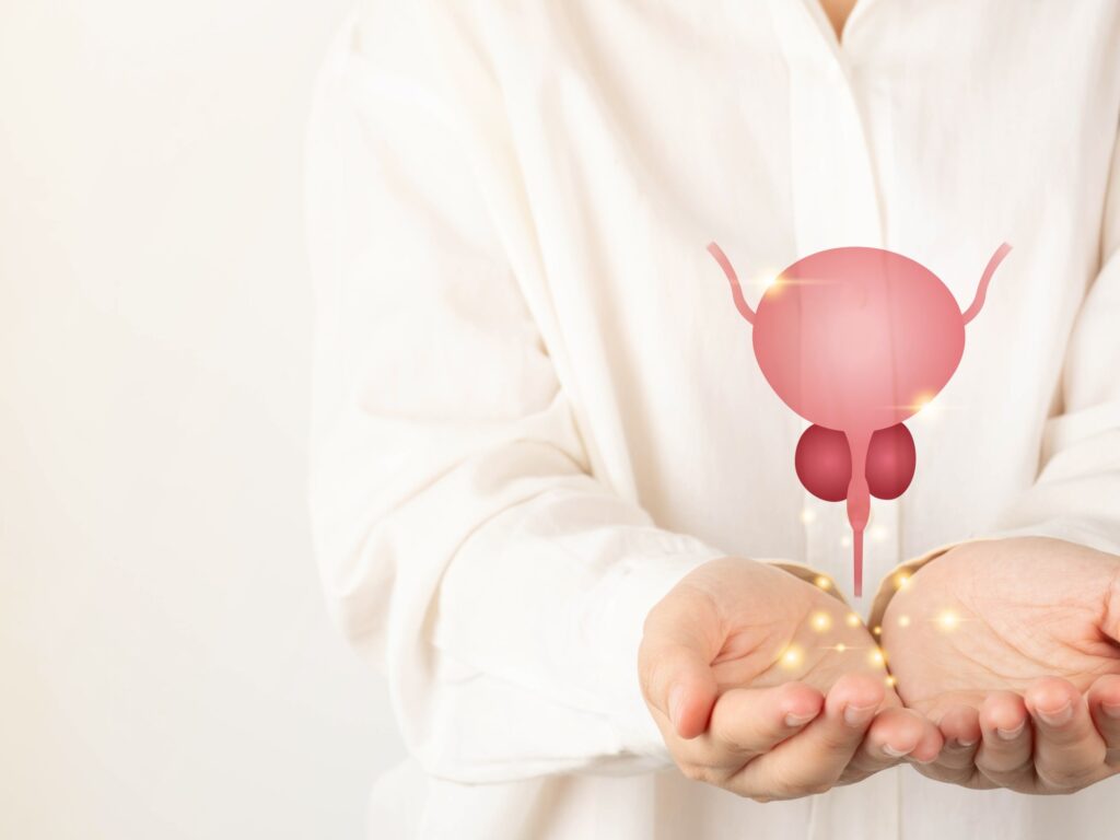 What is the intellectual cystitis?