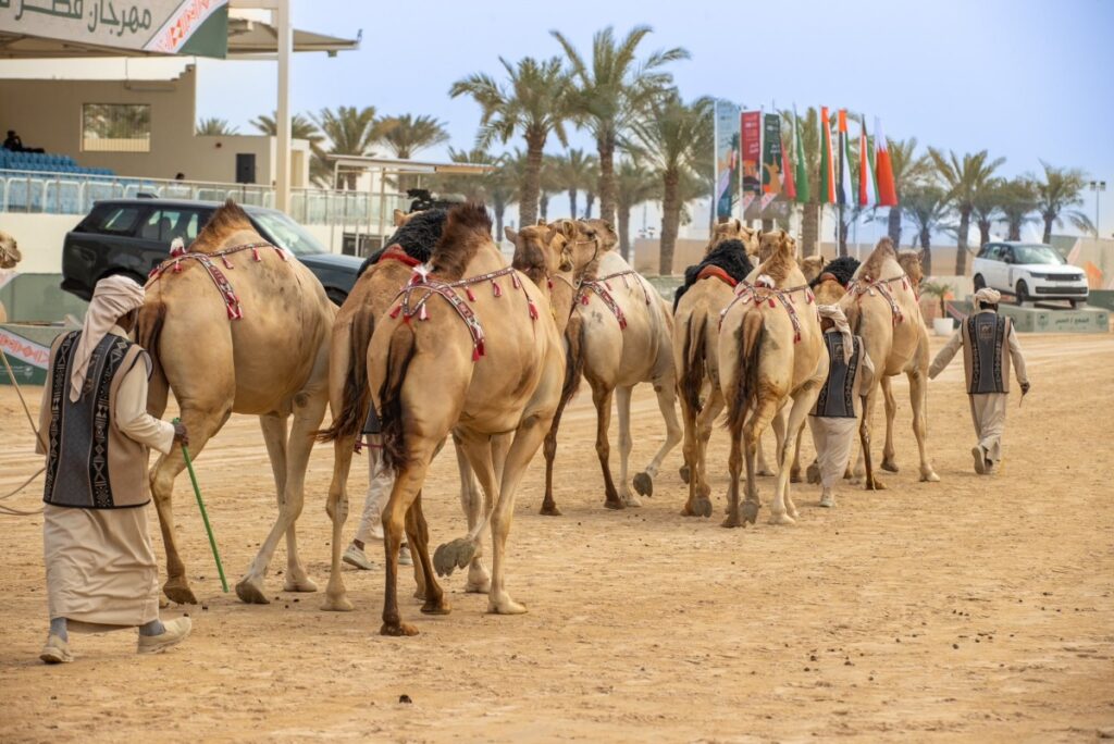 alarab