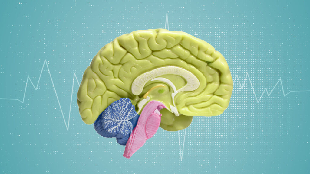 A new discovery helps to understand the relationship between diabetes and neurological diseases