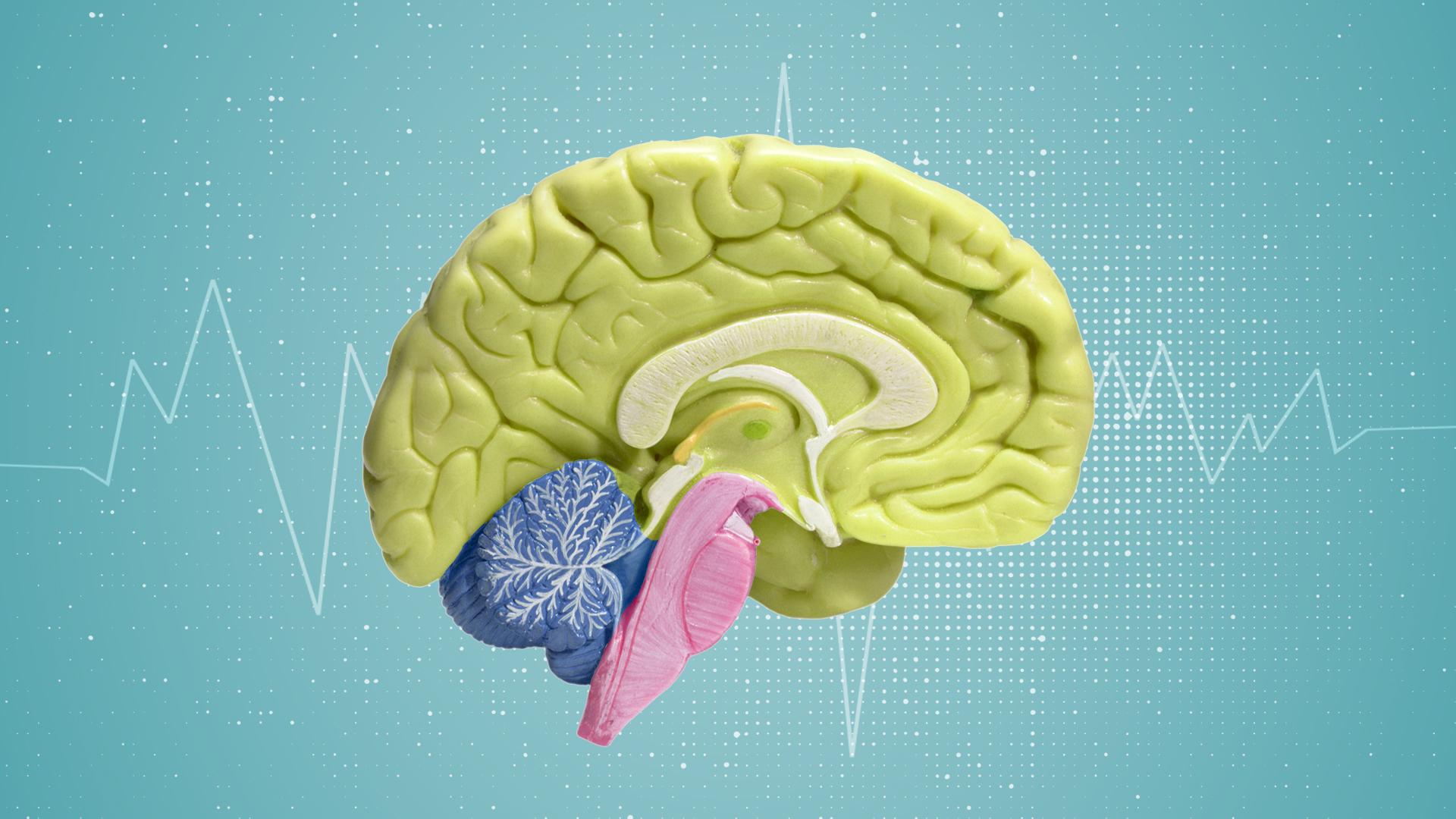 A new discovery helps to understand the relationship between diabetes and neurological diseases