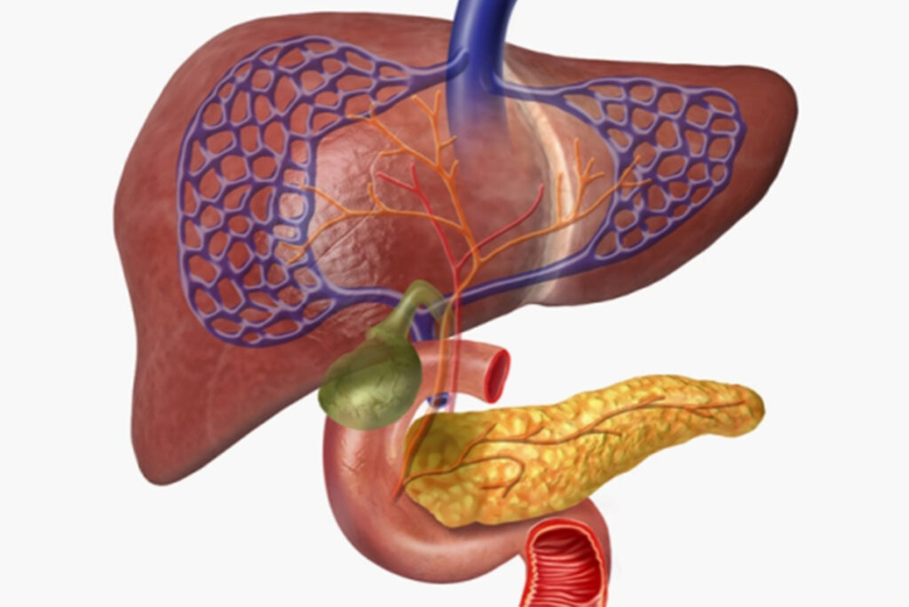 3D biotechnology may form the future of diabetes treatment
