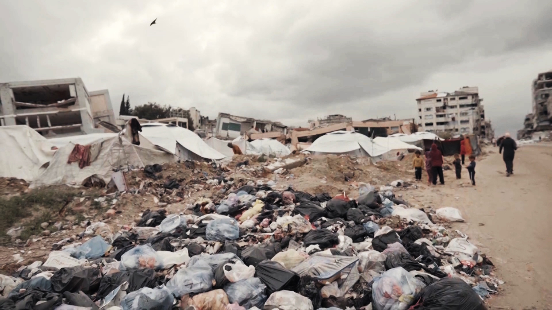 Warning from a health disaster in Gaza