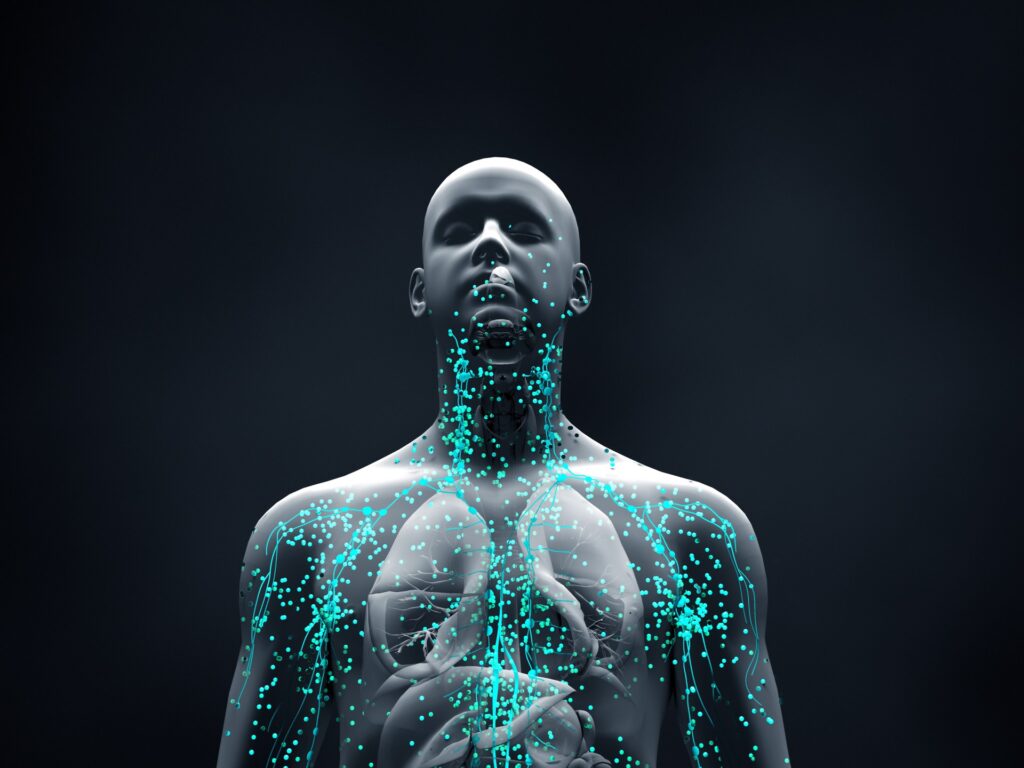 The body is preparing early for diseases and cells that are tired