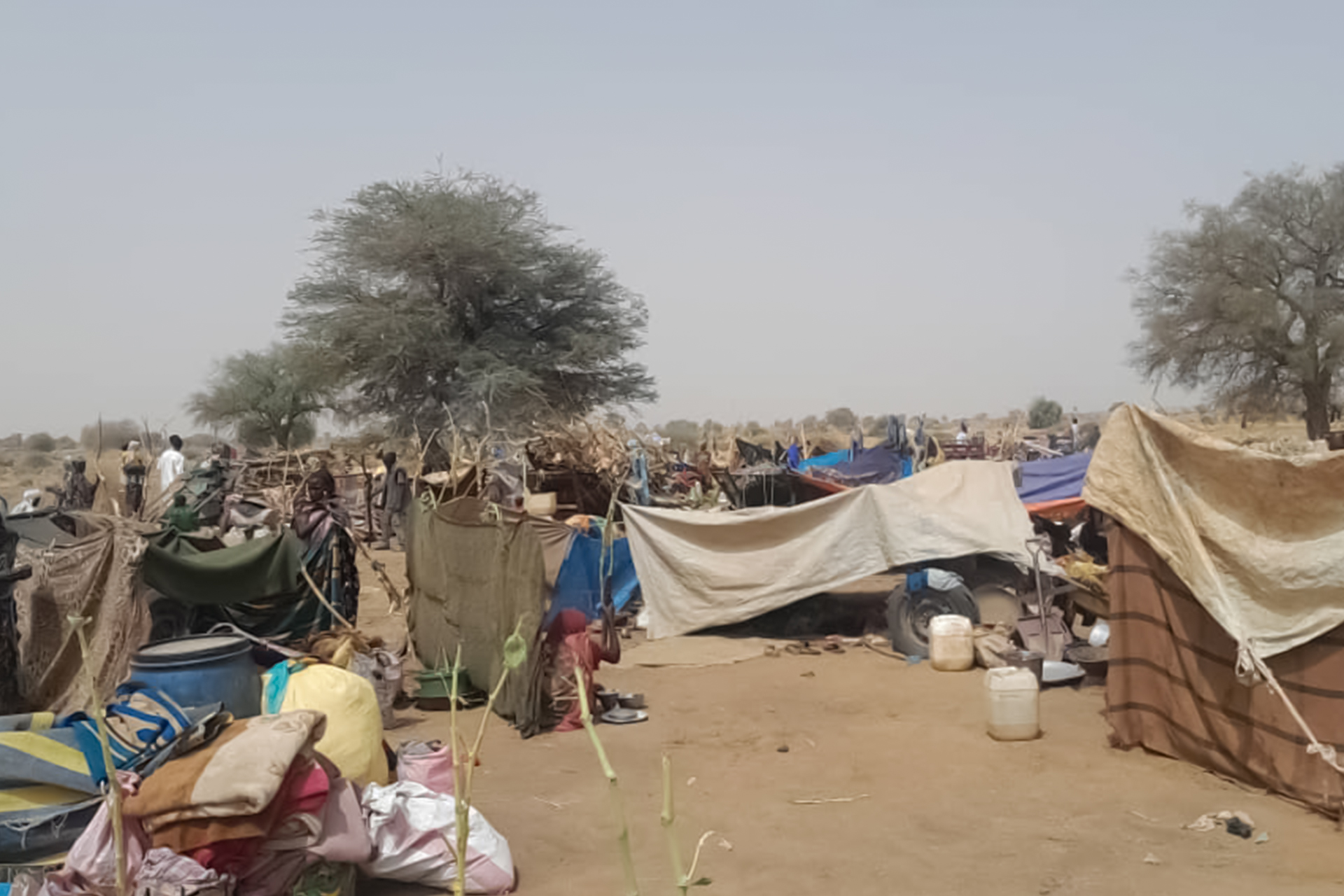 The escalation of battles in Al -Fasher, western Sudan, and the number of displaced people exceeds one million
