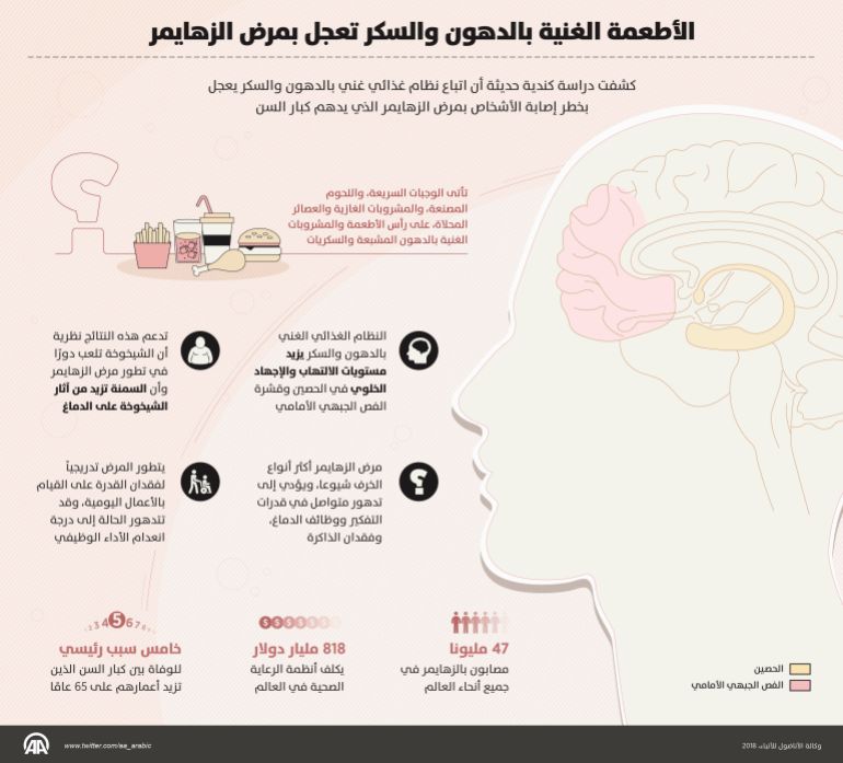 Anfargage foods rich in fats and sugar hurry to Alzheimer's Infographs Infographic Infographs Alzheimer