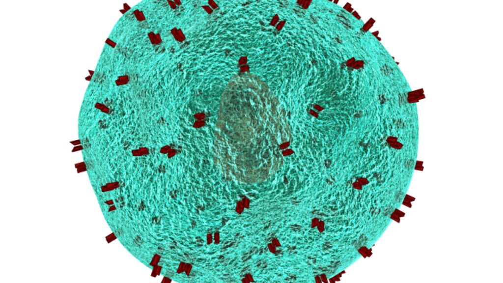 How does HIV penetrate immune cells and kidnap them?