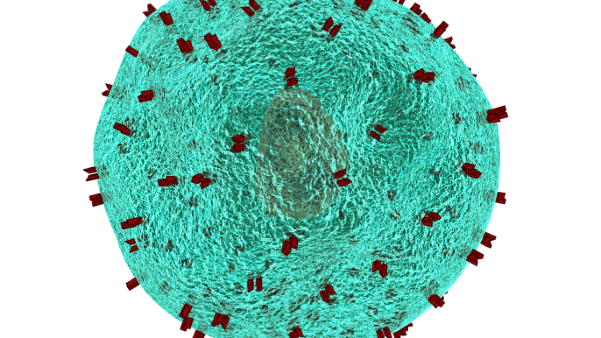 How does HIV penetrate immune cells and kidnap them?