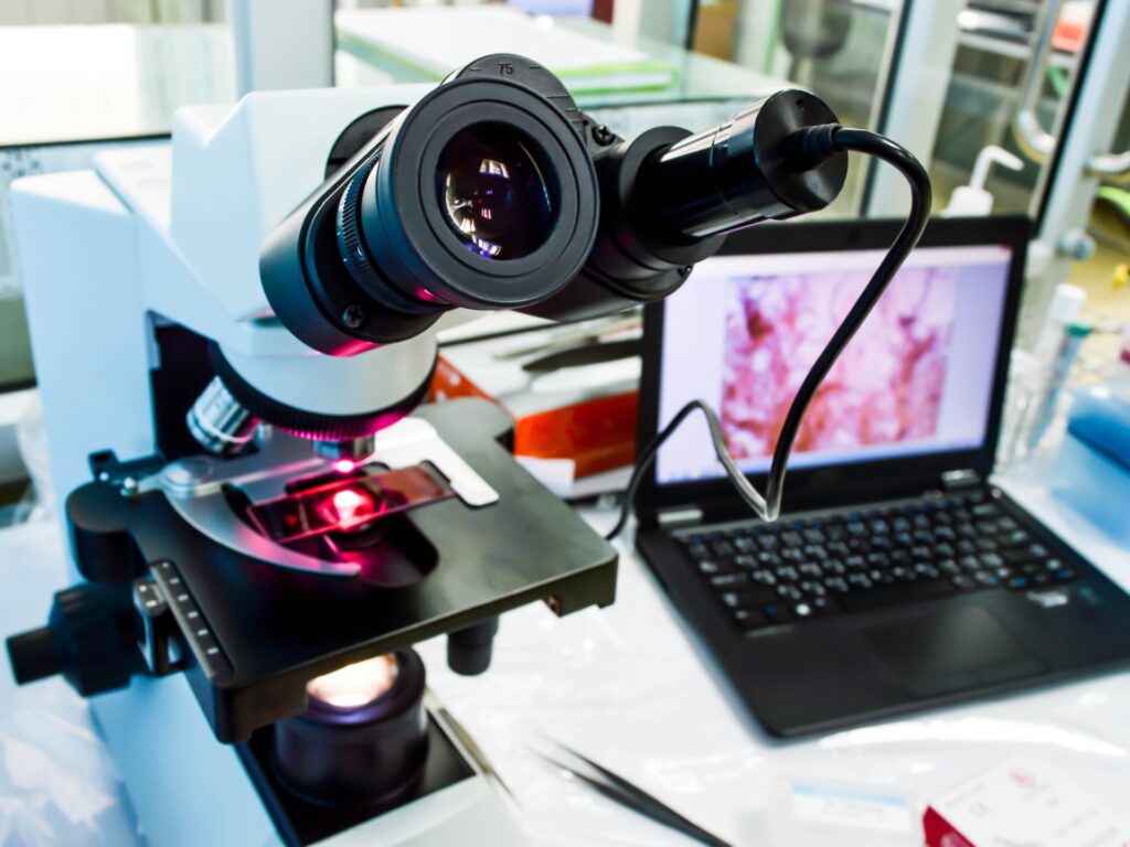 Live brain tissue to study Alzheimer's disease