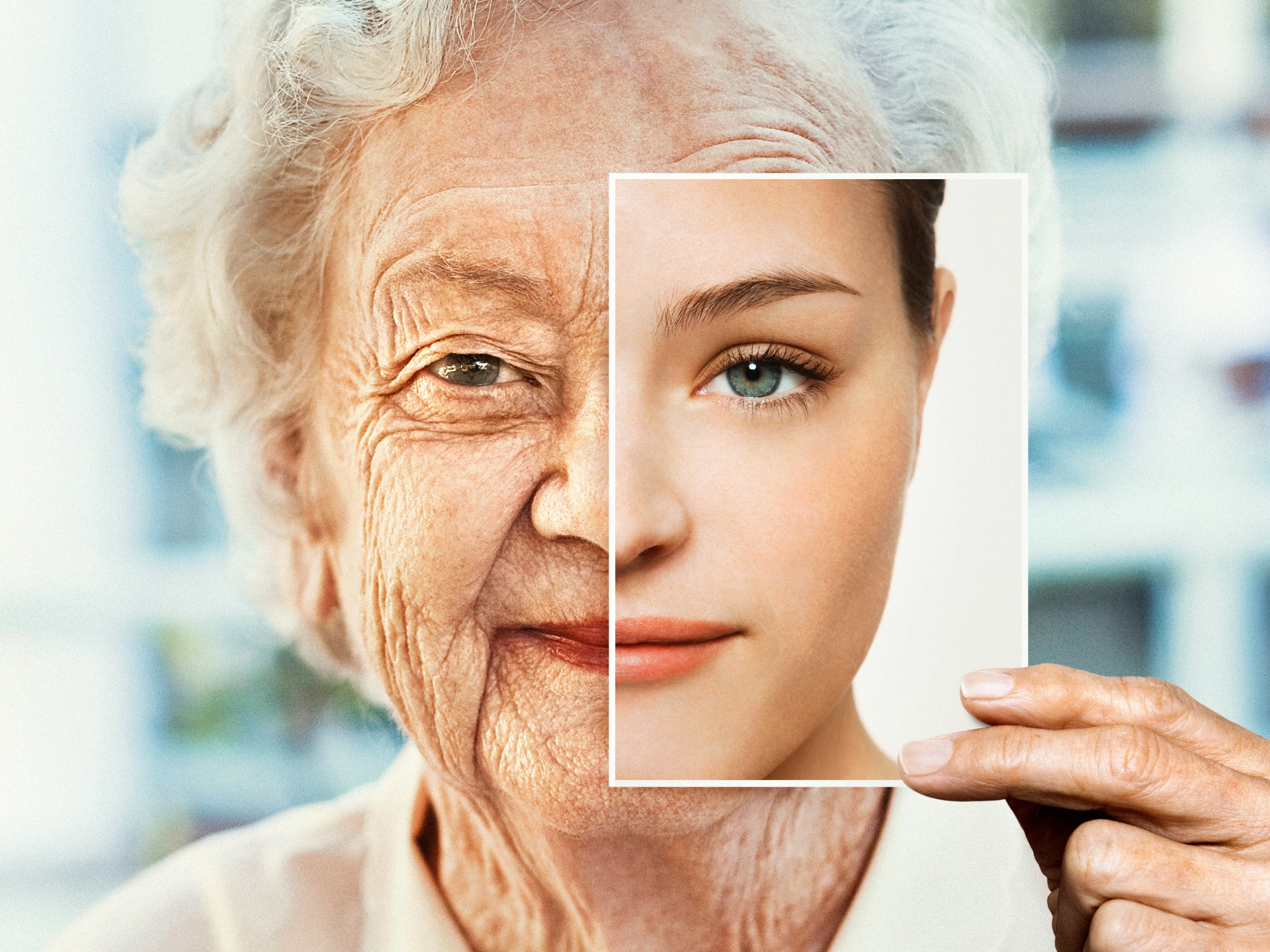 A new way to separate elderly cells .. Are we understanding aging diseases now?