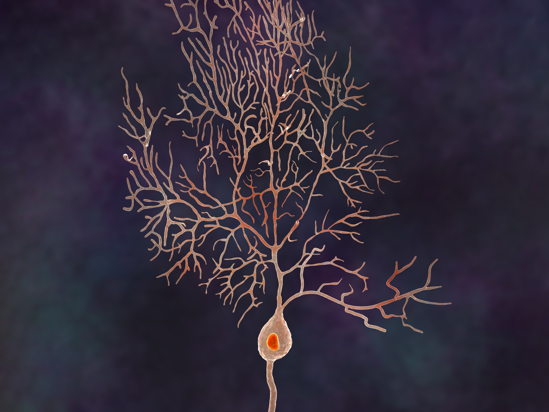 A study preaches the development of new treatments for multiple sclerosis