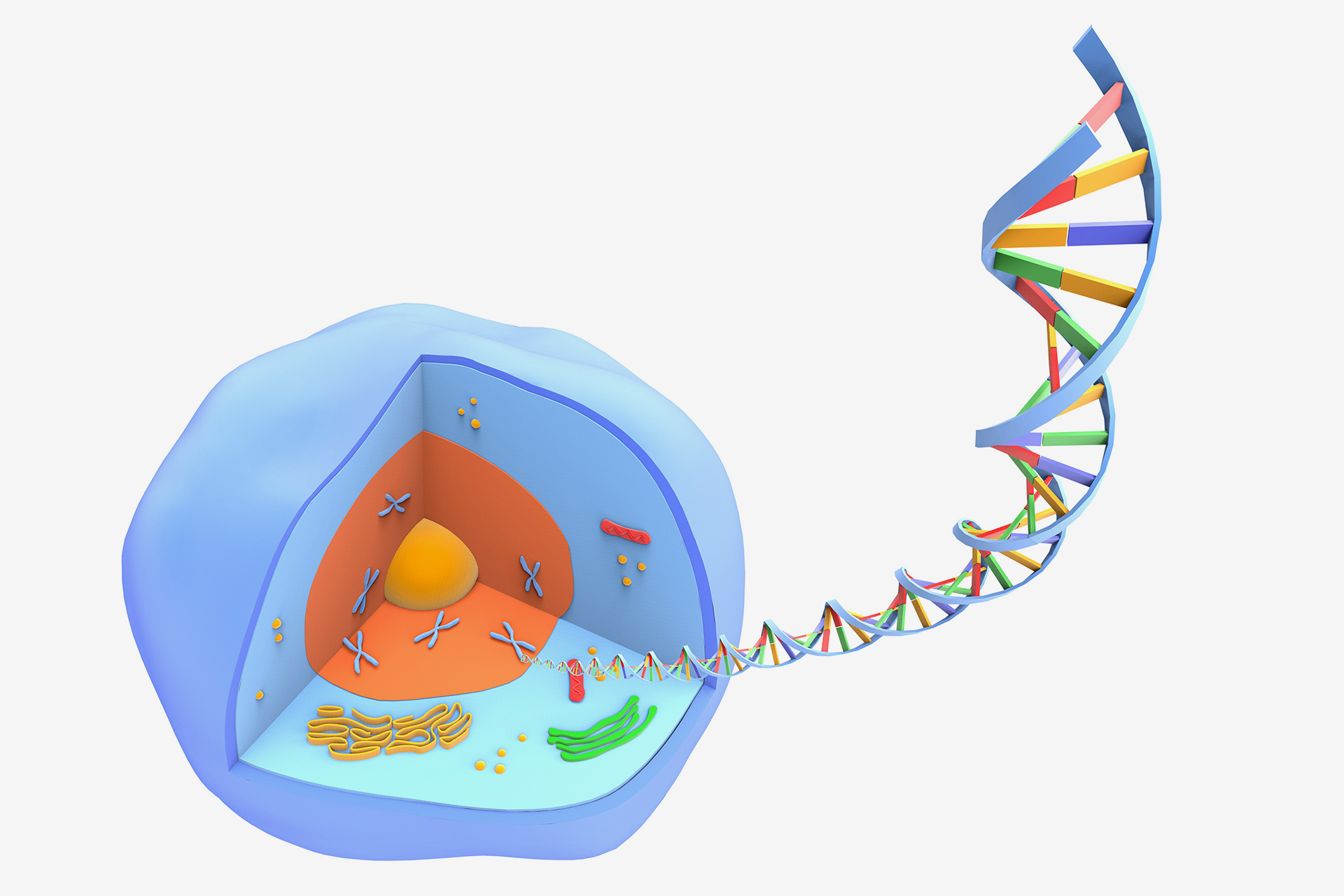 From the laboratory to the hand .. a nanopolitan device that brings a personal genome to reality