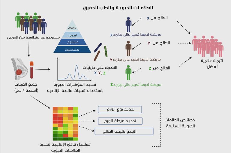 Bioxinity indicators and careful medicine in the treatment of breast cancer, breast cancer treatments (Source: Qatar Institute for Biomedical Research, Hamad Bin Khalifa University in Qatar) Infargage