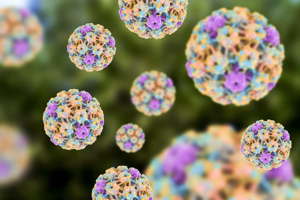 How does HPV re -program immune cells to help cancer?