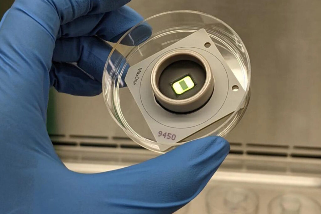 A study that proves that real intelligence is not artificial