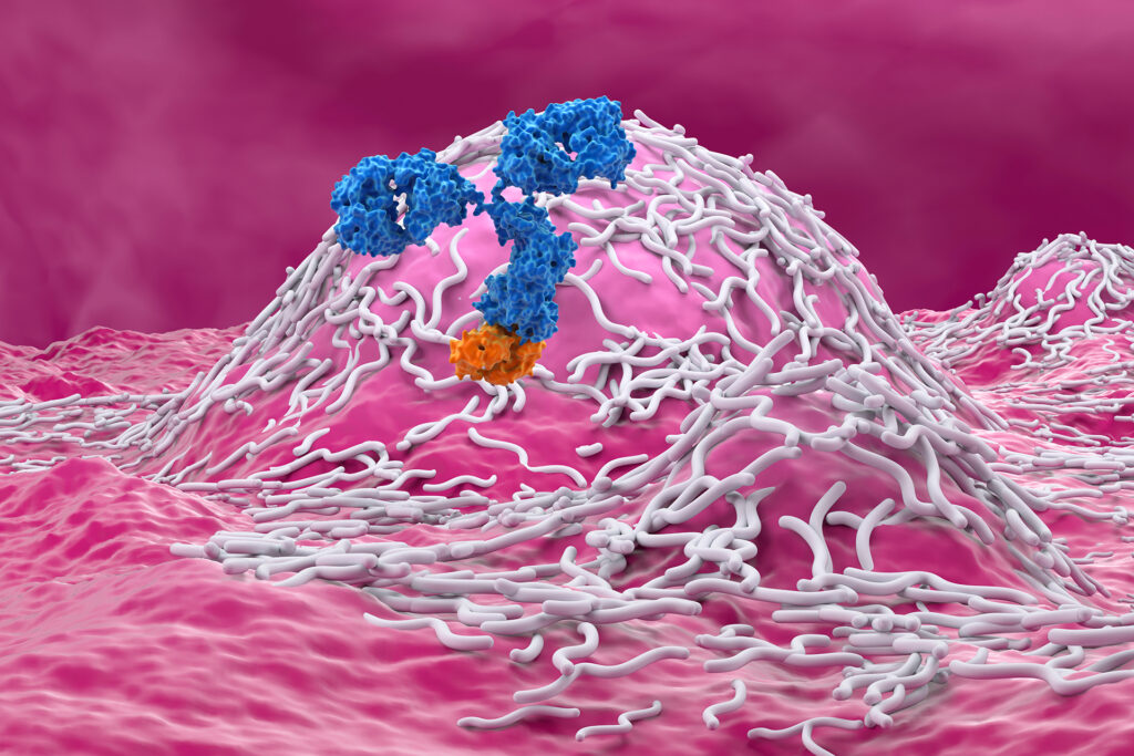 German researchers reveal a possible cause of the failure of nervous tumor treatment