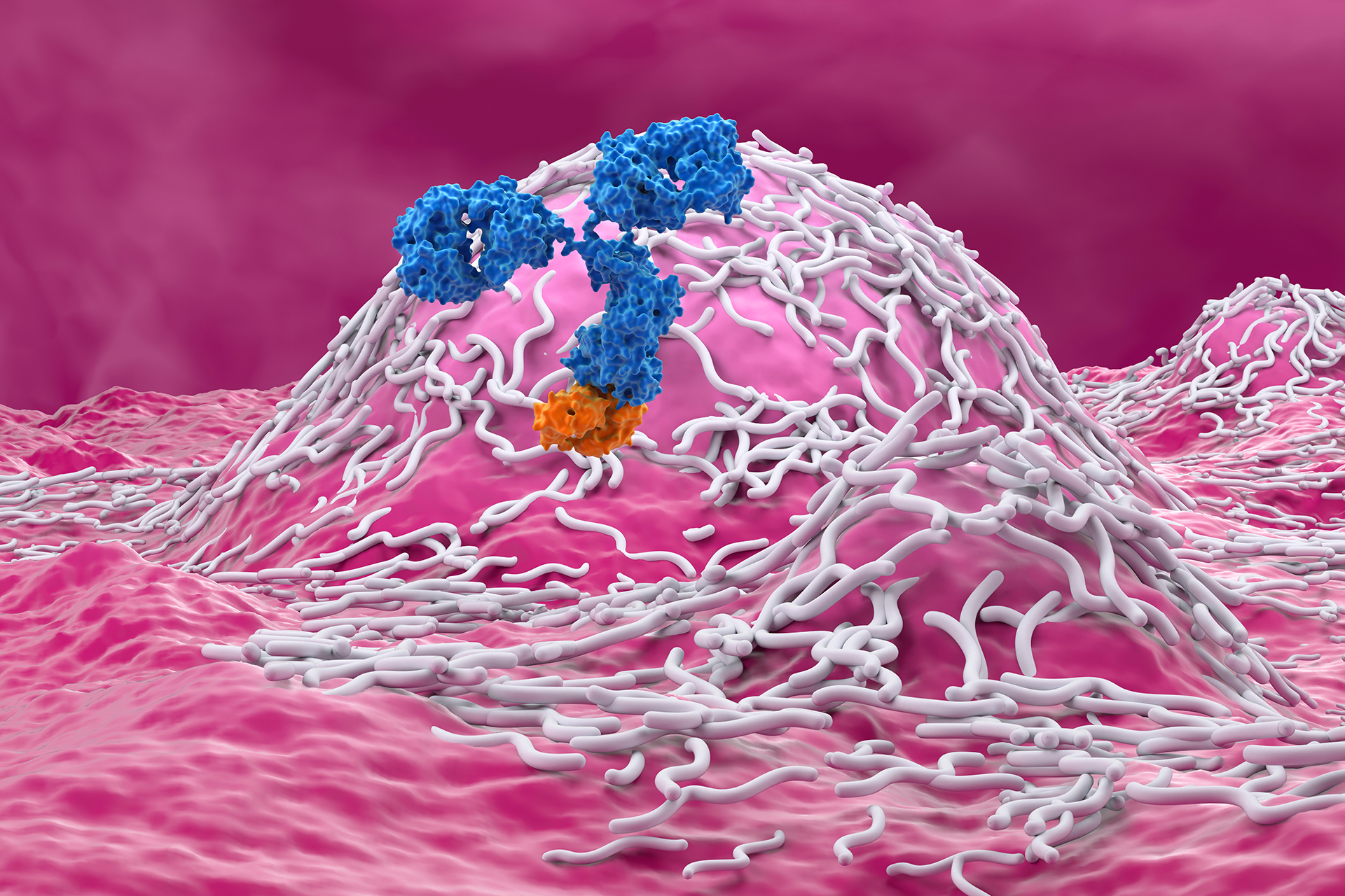 German researchers reveal a possible cause of the failure of nervous tumor treatment