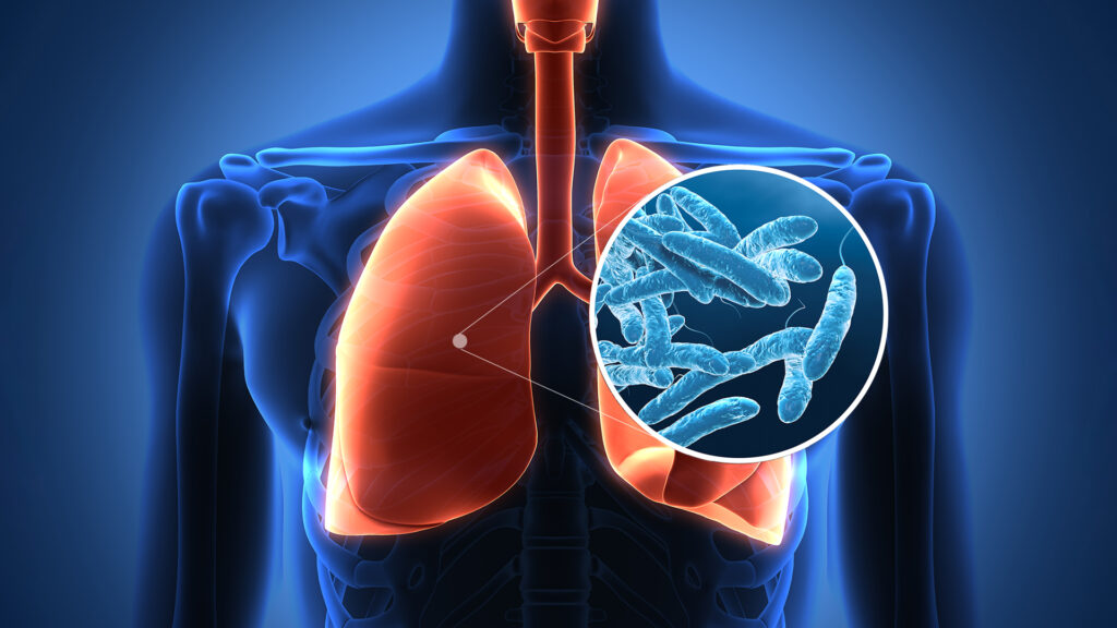 The death of the fifth person of the Badlqa in New York