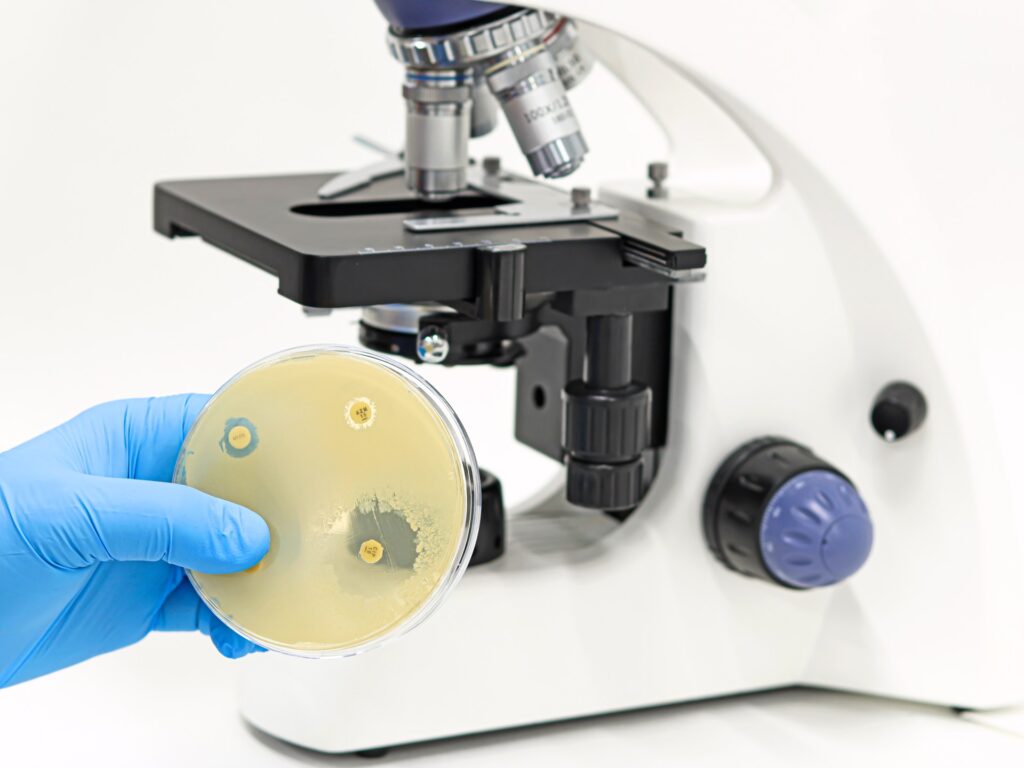 A mixture of viruses to combat antibiotic -resistant bacteria