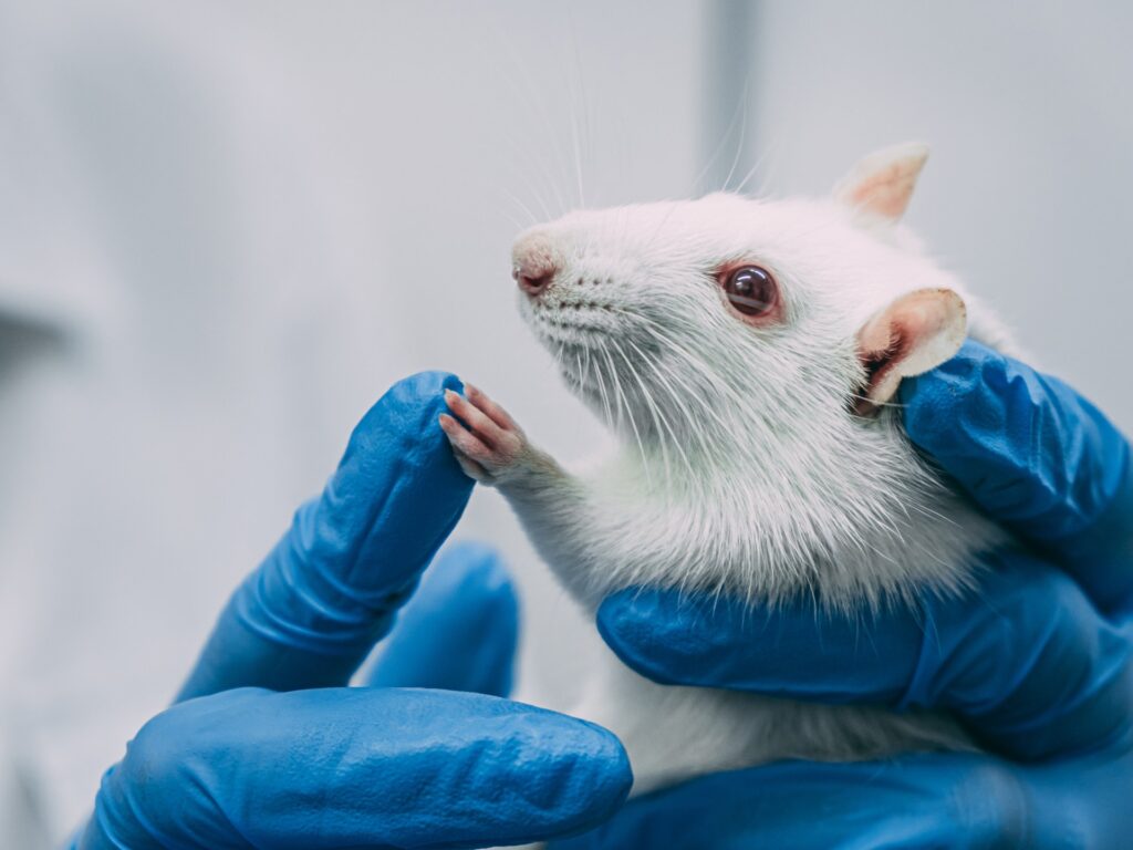 A drug mixture that greatly protects mice from influenza