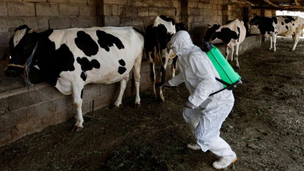 Between warning and fearful .. "Hemorrhoid" The communication sites are occupied in Iraq