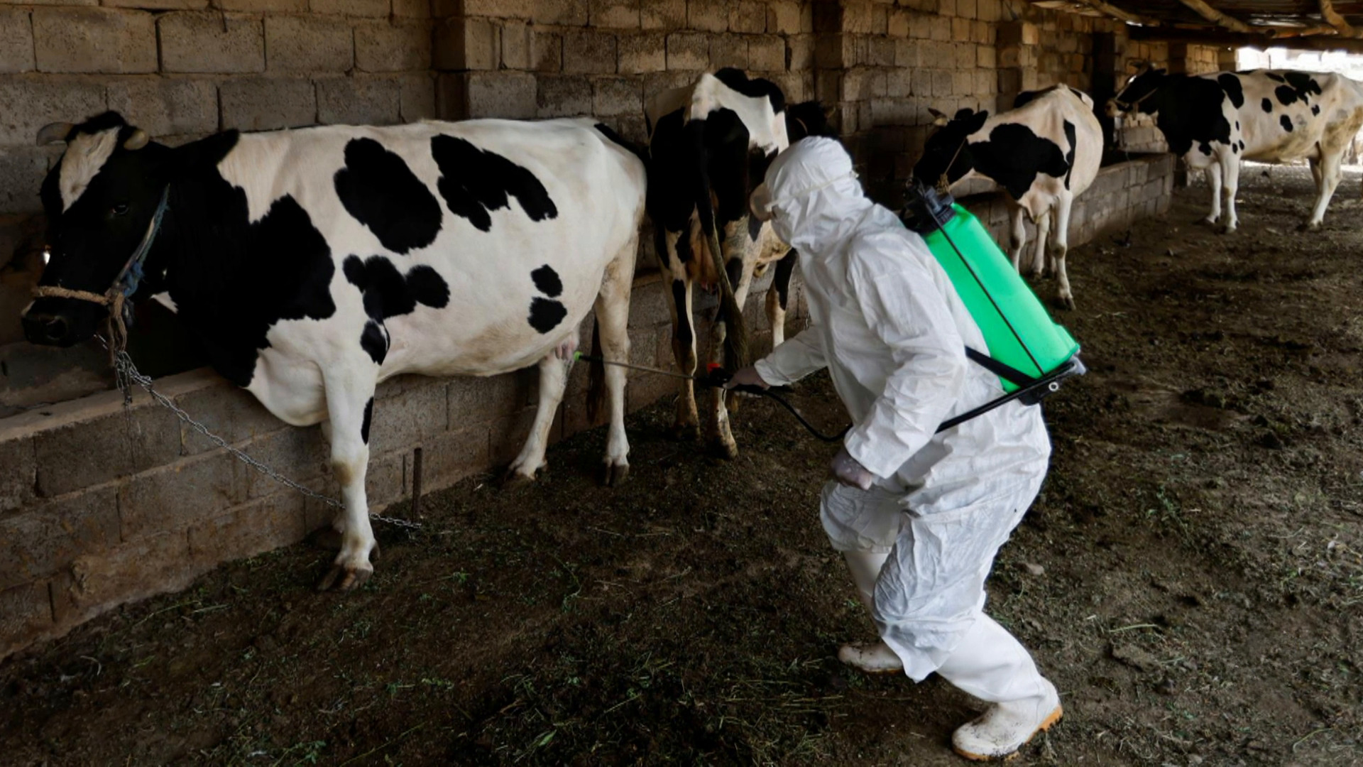 Between warning and fearful .. "Hemorrhoid" The communication sites are occupied in Iraq