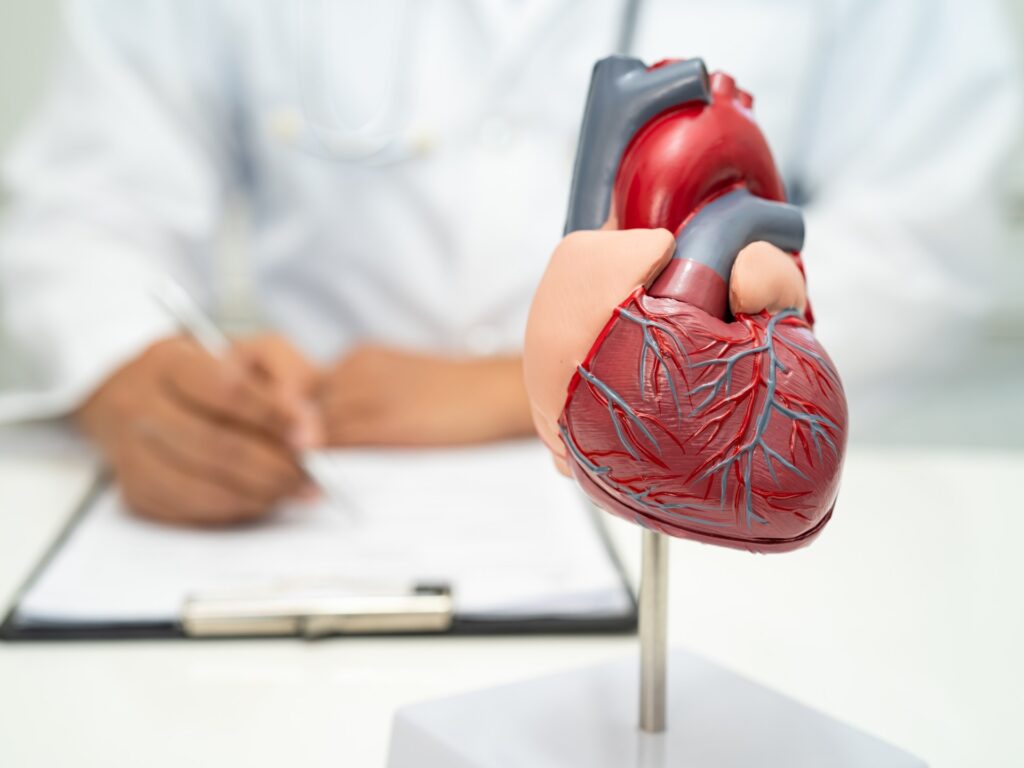 Immune defense occurs in the heart