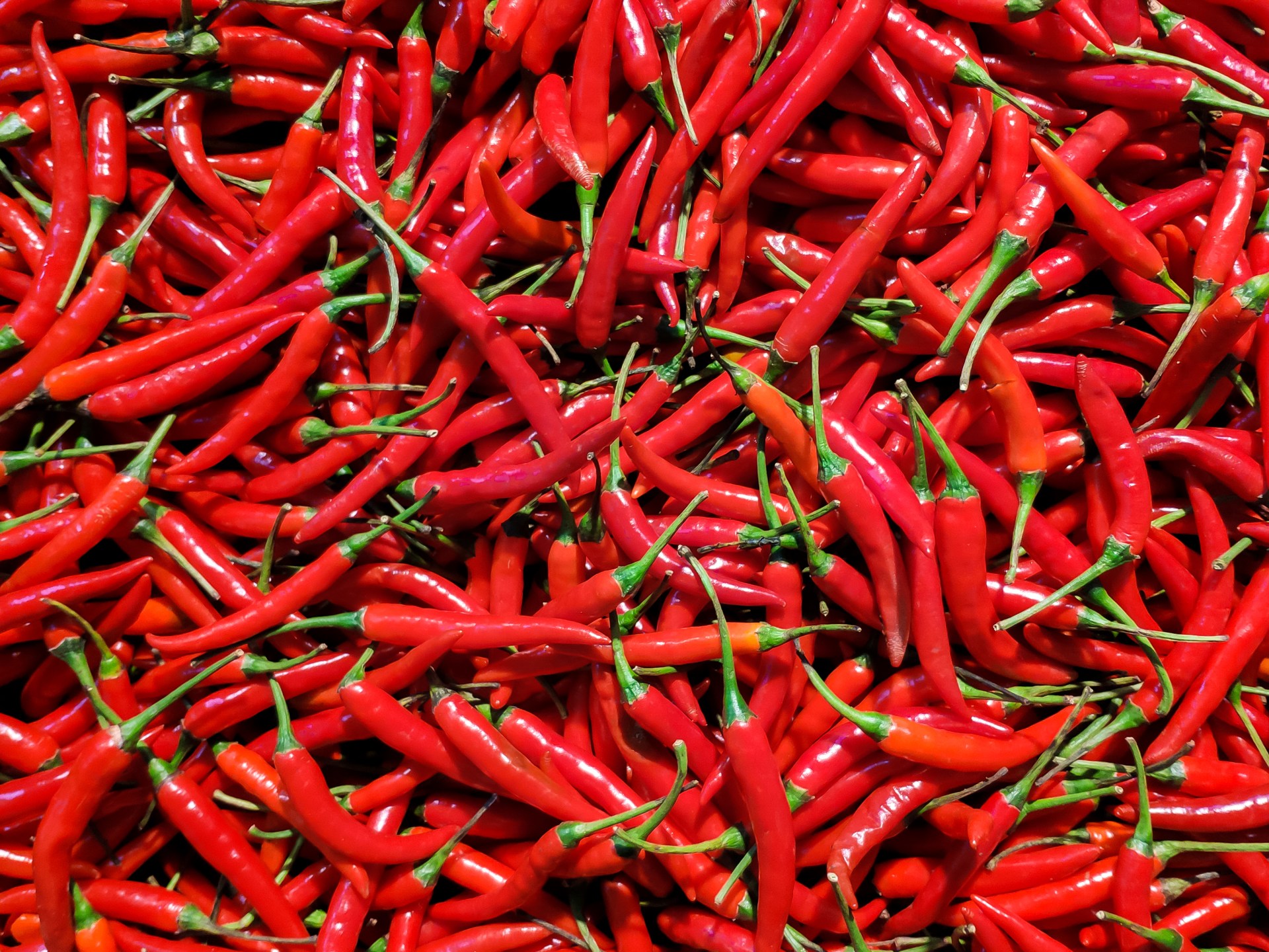 Researchers recommend adding hot spices to the diet