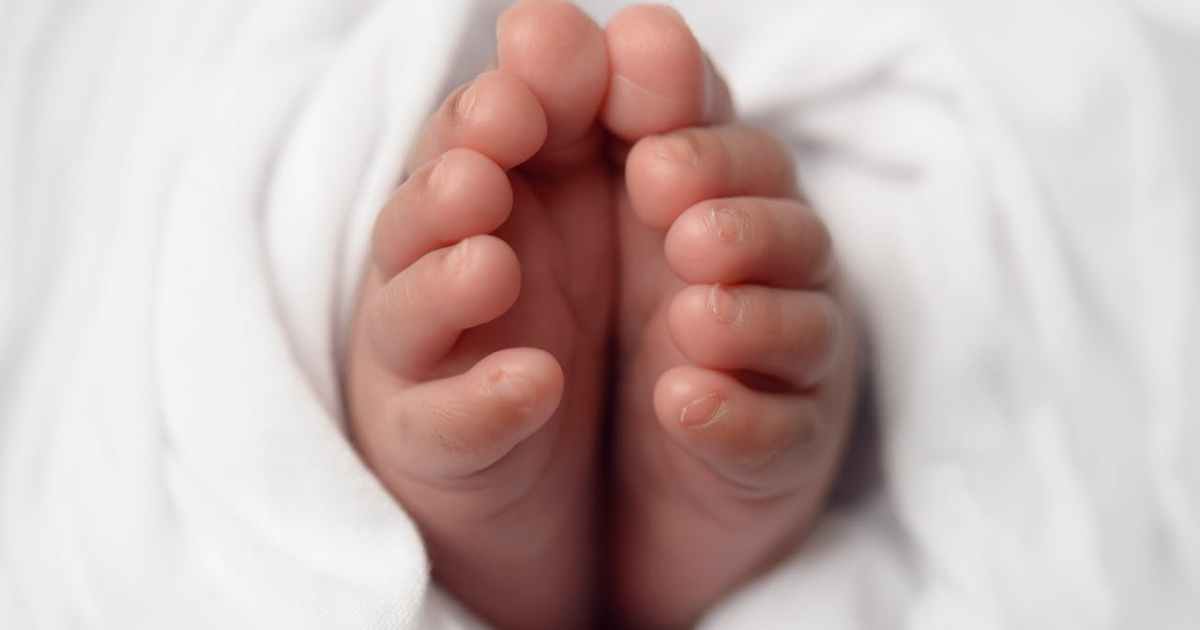 Skin contact promotes brain growth in premature children