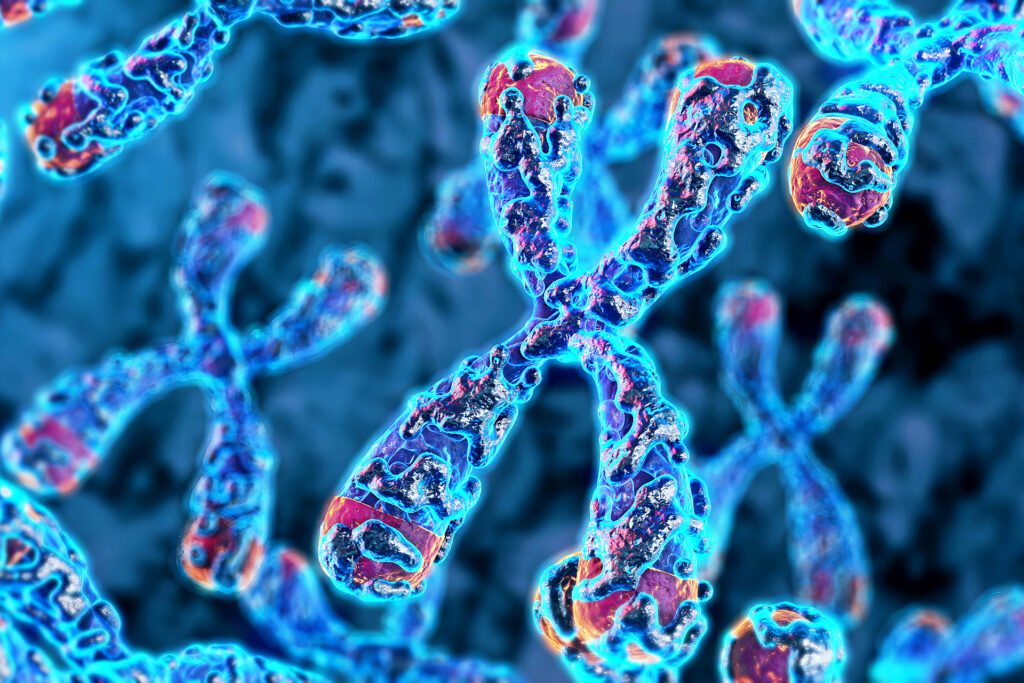 Telomarat is the key to improving immune cancer treatments