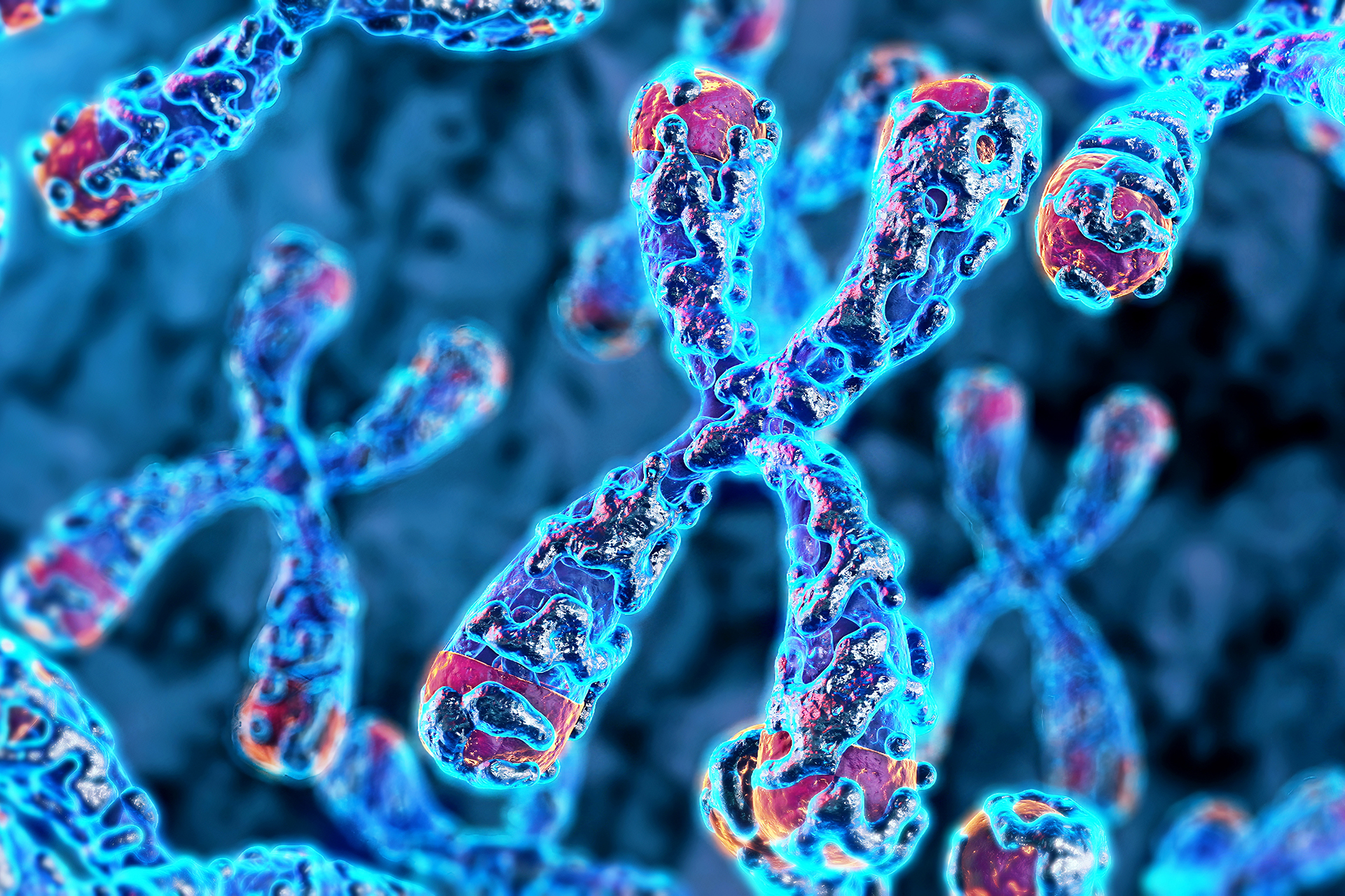 Telomarat is the key to improving immune cancer treatments