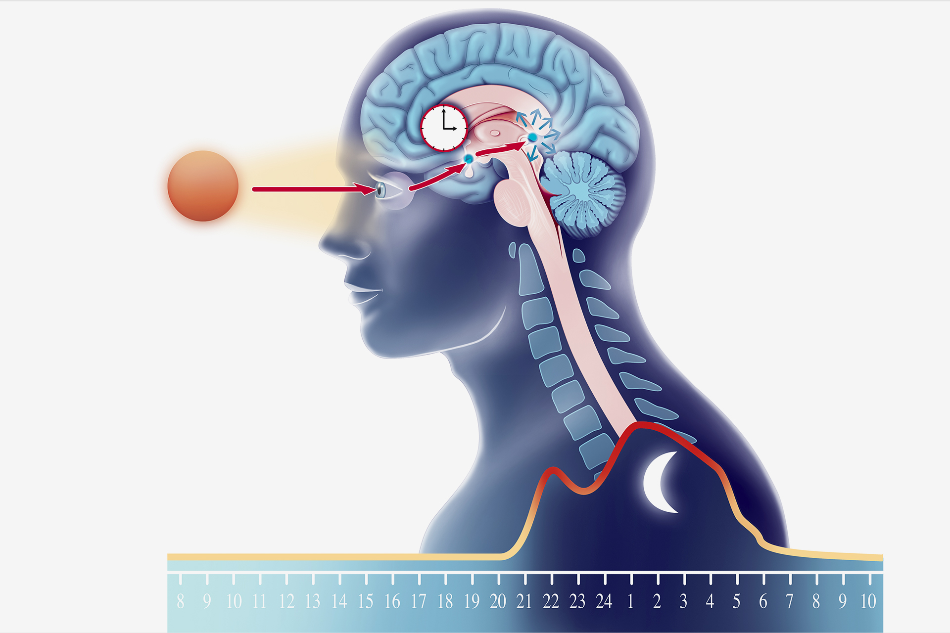 When to use melatonin sprays?