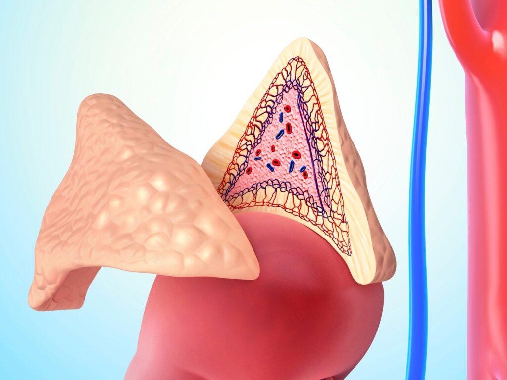 Cortisol is the subject of false promises on the Internet