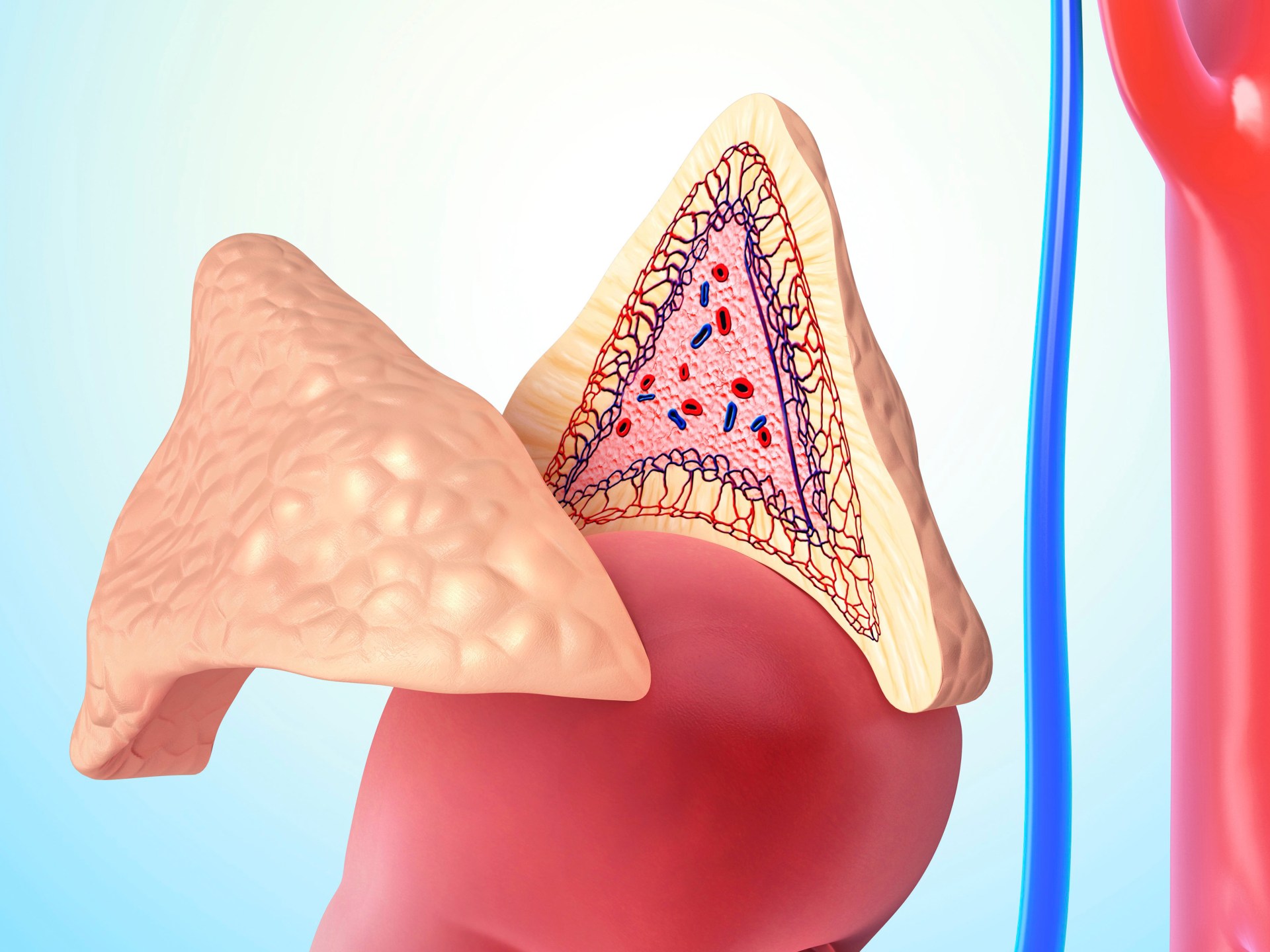 Cortisol is the subject of false promises on the Internet