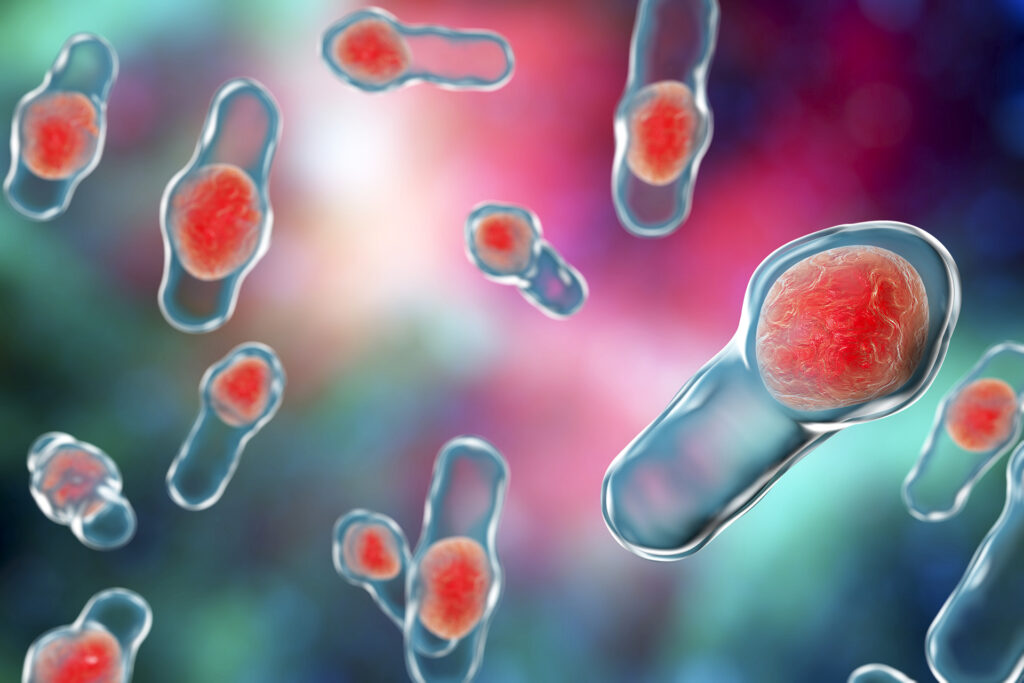 Global Health warns of the widespread spread of antibiotic-resistant bacteria